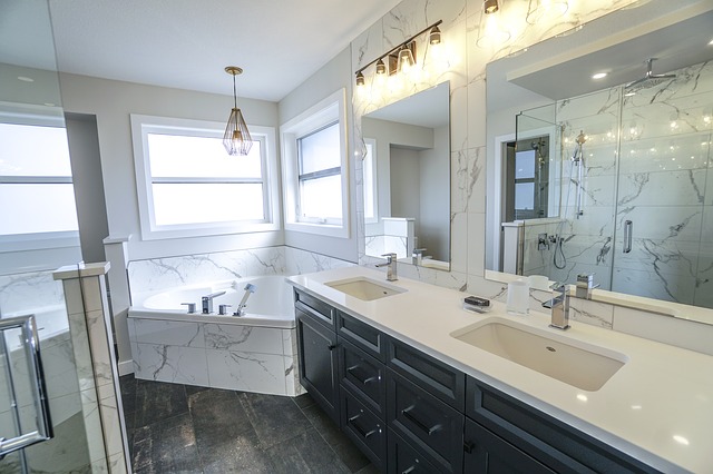 bathroom-3689922_640
