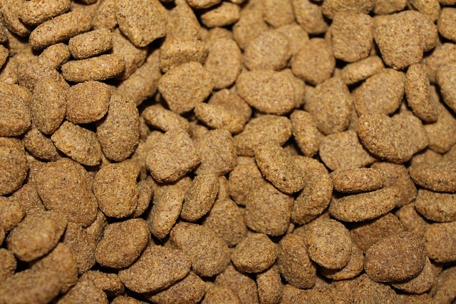 granule.jpg